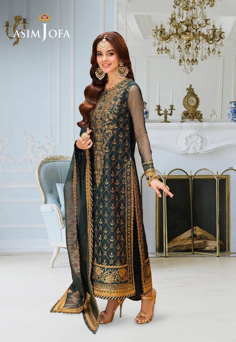 Asim Jofa | festive luxe | AJEM-25 - Rang-e-Khaas