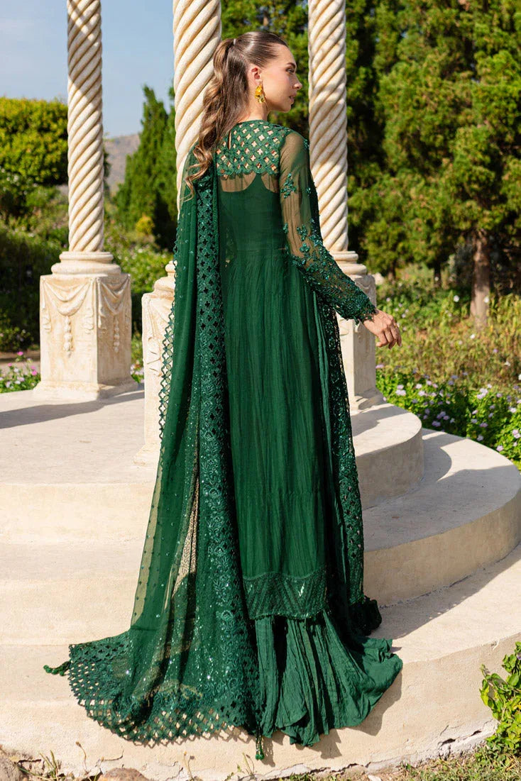 Marjjan | Isabella Formals | MLC-26 - Rang-e-Khaas