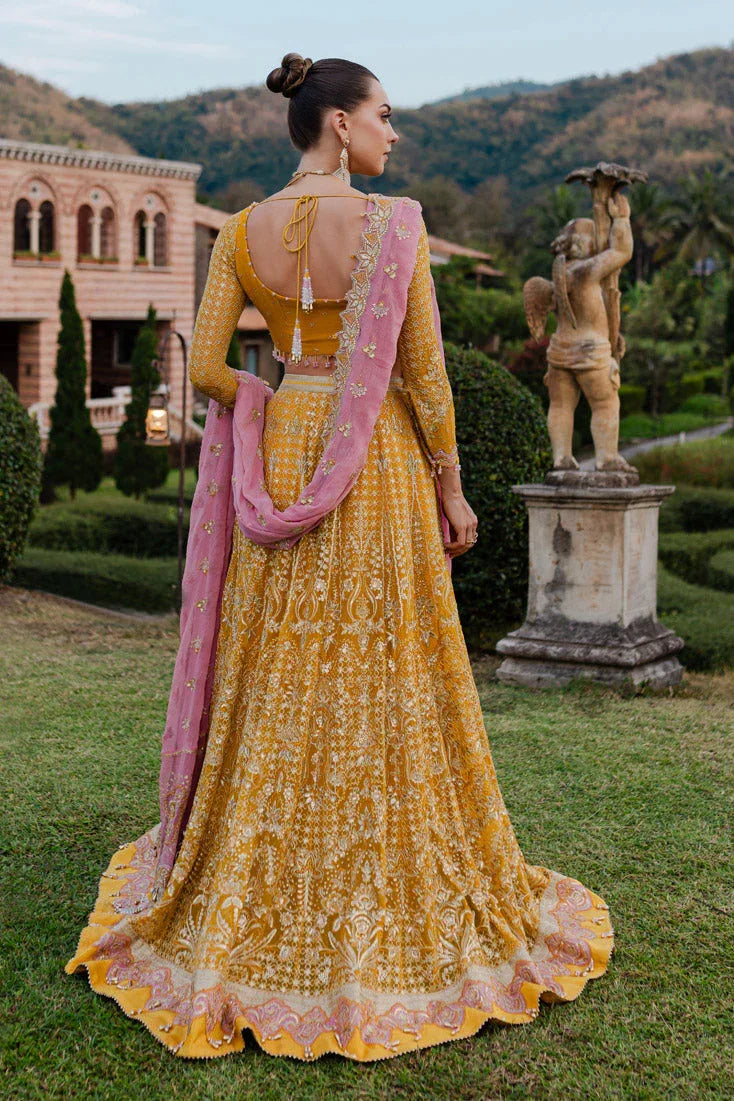 Marjjan | Isabella Formals | MLC-28 - Rang-e-Khaas