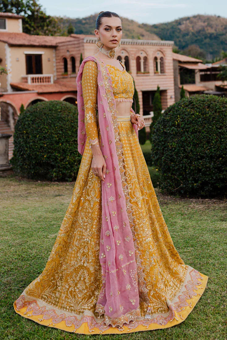 Marjjan | Isabella Formals | MLC-28 - Rang-e-Khaas