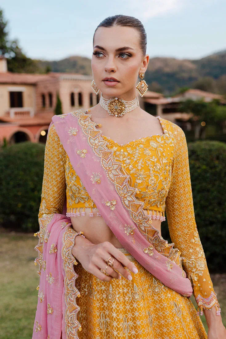 Marjjan | Isabella Formals | MLC-28 - Rang-e-Khaas