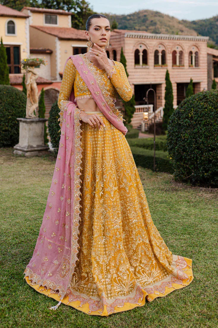Marjjan | Isabella Formals | MLC-28 - Rang-e-Khaas