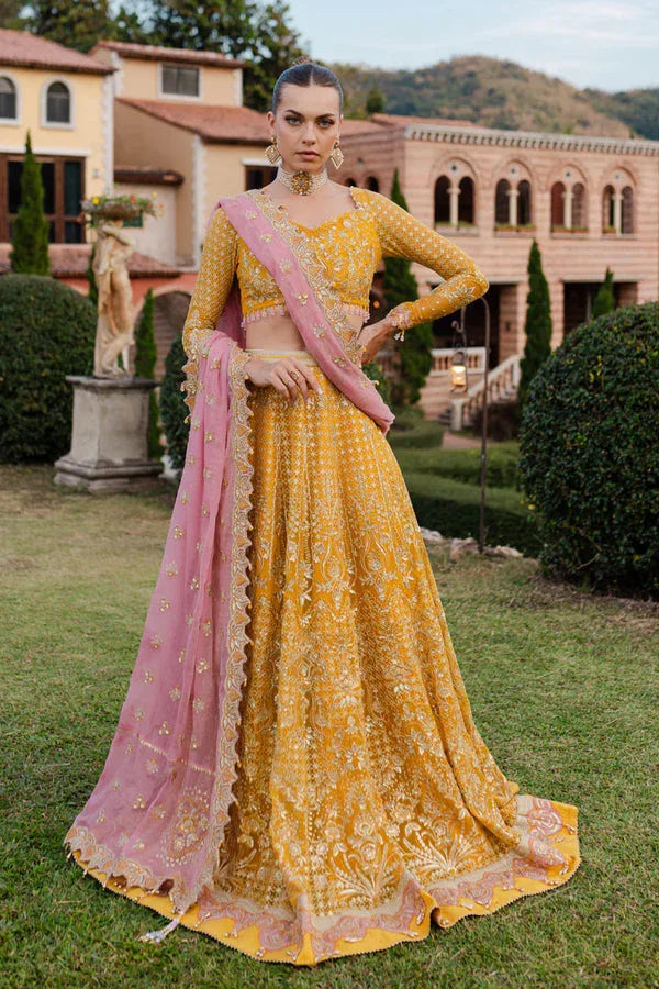 Marjjan | Isabella Formals | MLC-28 - Rang-e-Khaas