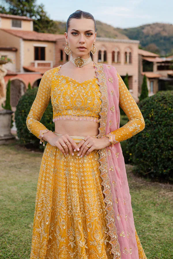 Marjjan | Isabella Formals | MLC-28 - Rang-e-Khaas