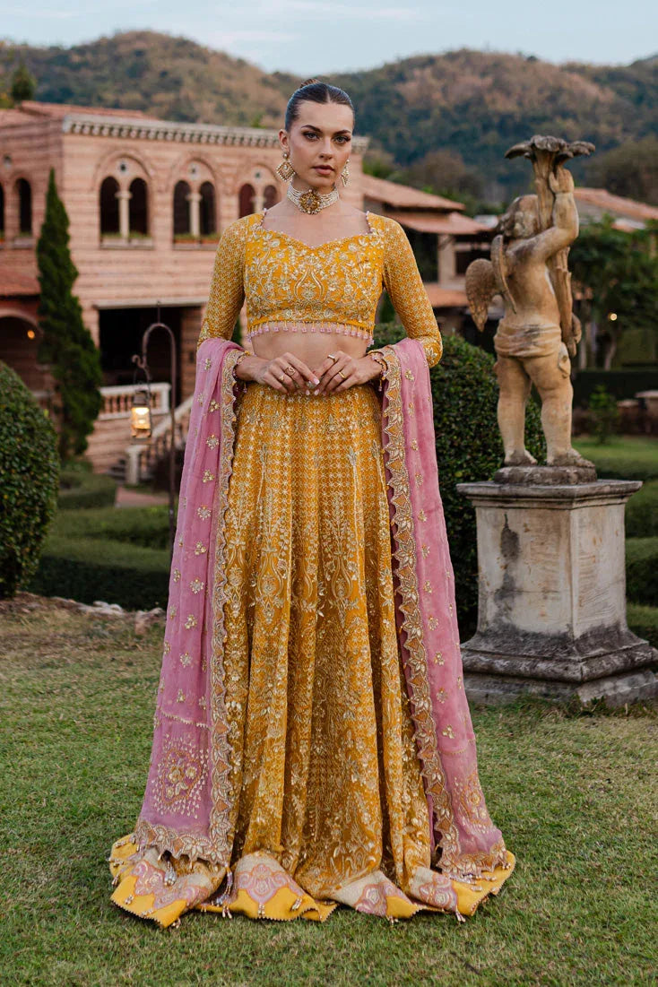 Marjjan | Isabella Formals | MLC-28 - Rang-e-Khaas