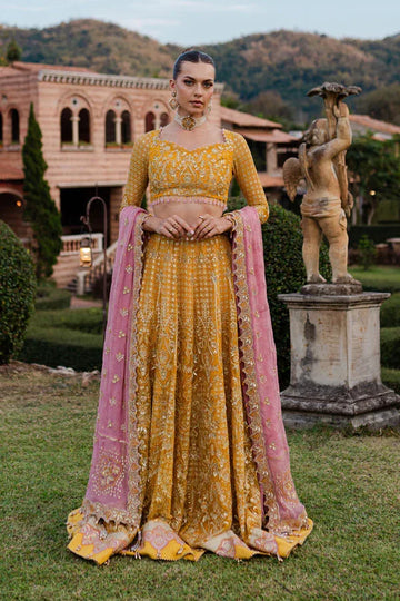 Marjjan | Isabella Formals | MLC-28 - Rang-e-Khaas