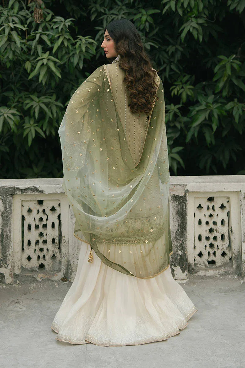 MNR | Ashiyana Festive Eid Collection 25 | Ayzal - Rang-e-Khaas
