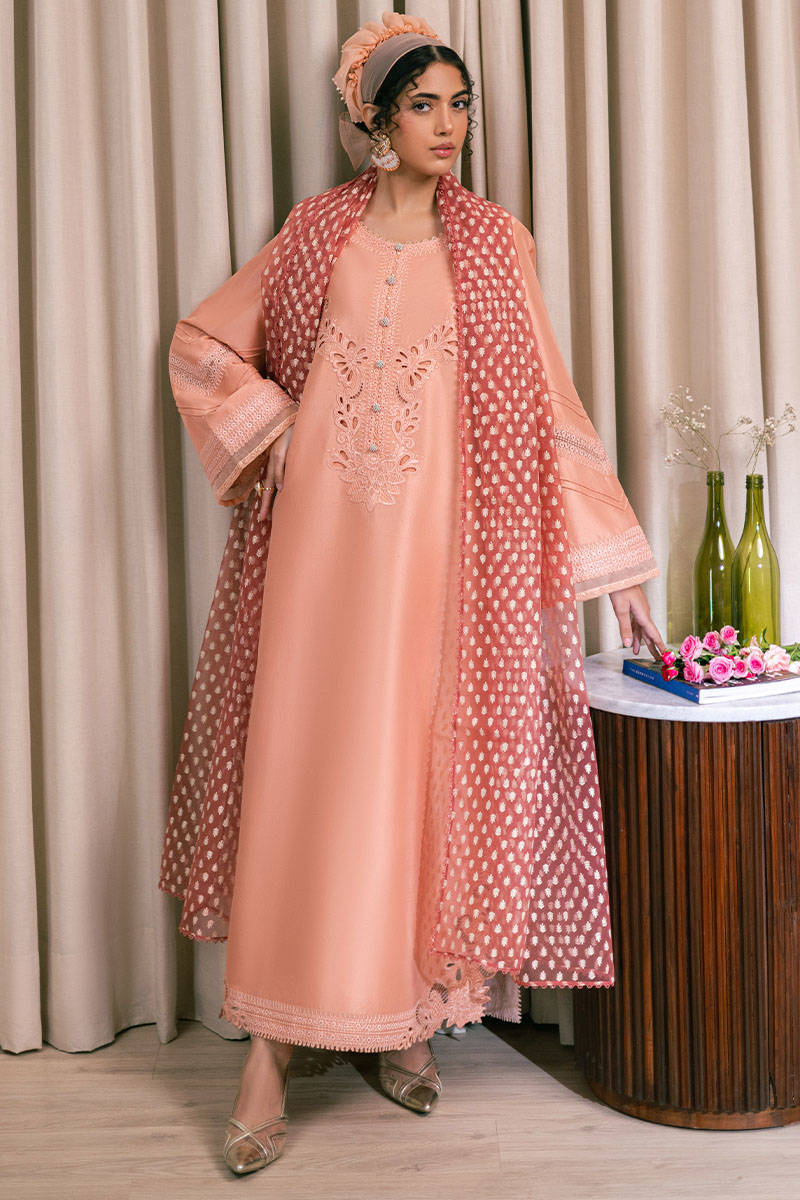 MNR | Chaye Coffee Luxury Pret | Peach Delight - Rang-e-Khaas