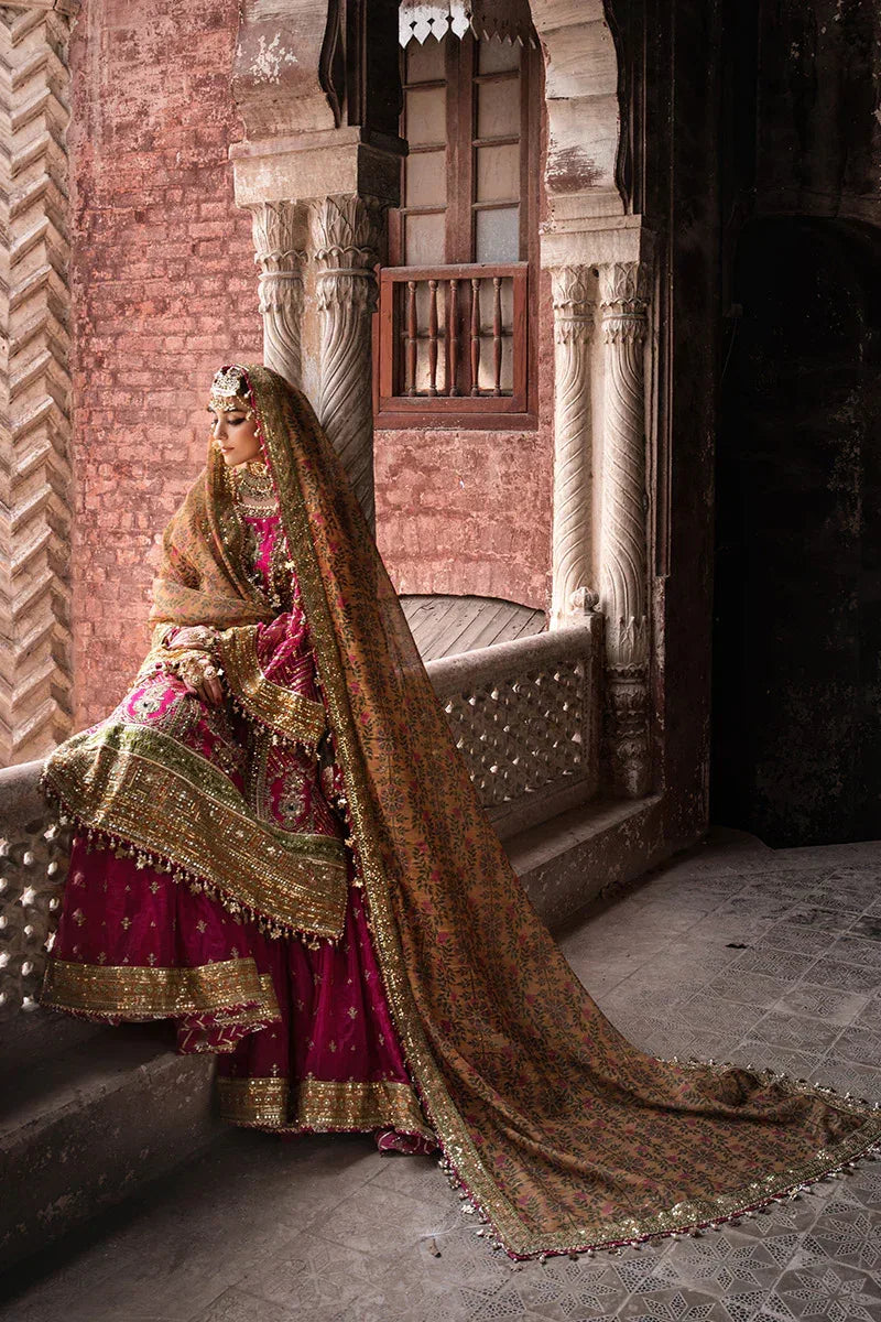MNR | Talpur Dynasty 23 | Naranji - Rang-e-Khaas
