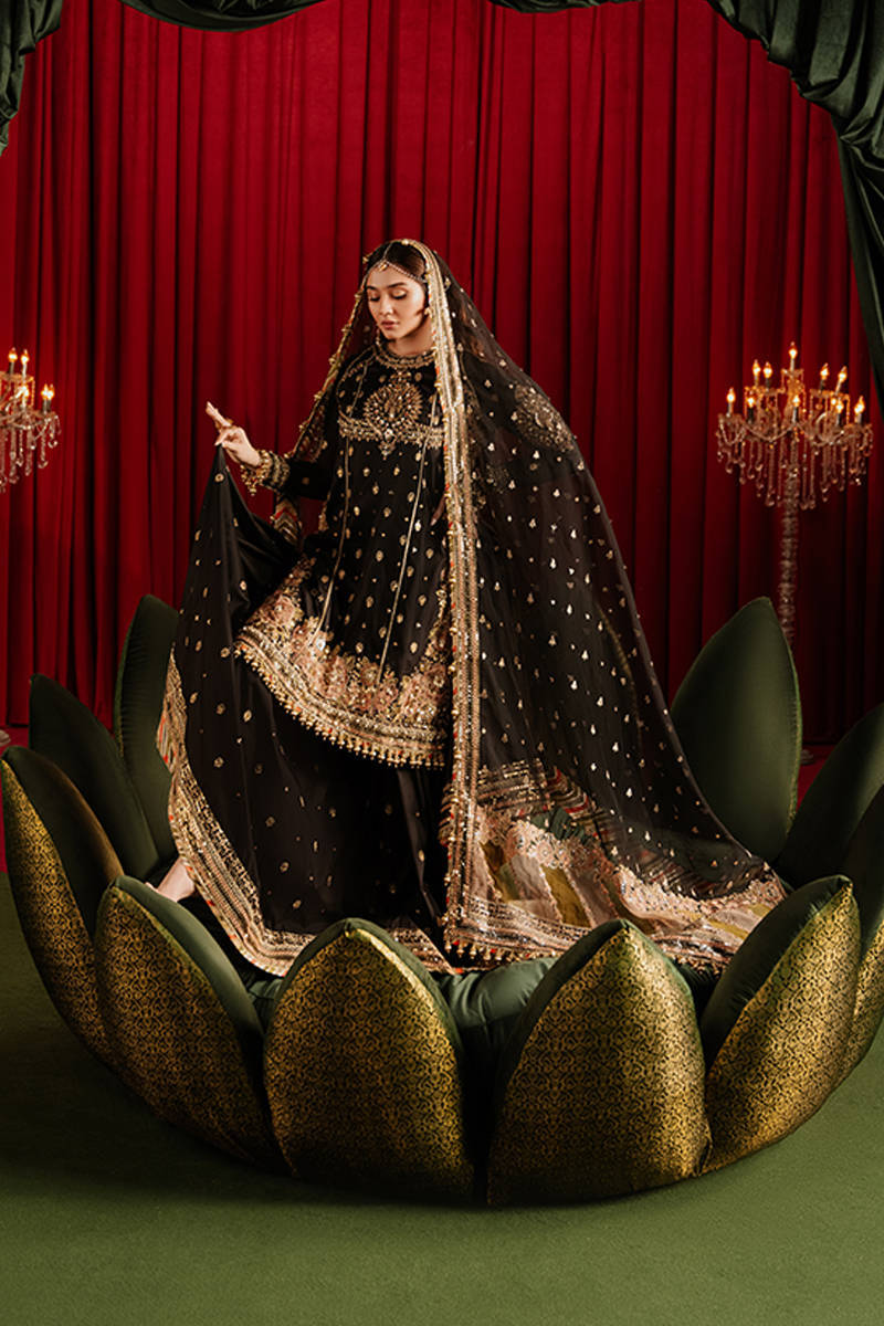 MNR | Zarlish Festive Formals | Afreen - Rang-e-Khaas