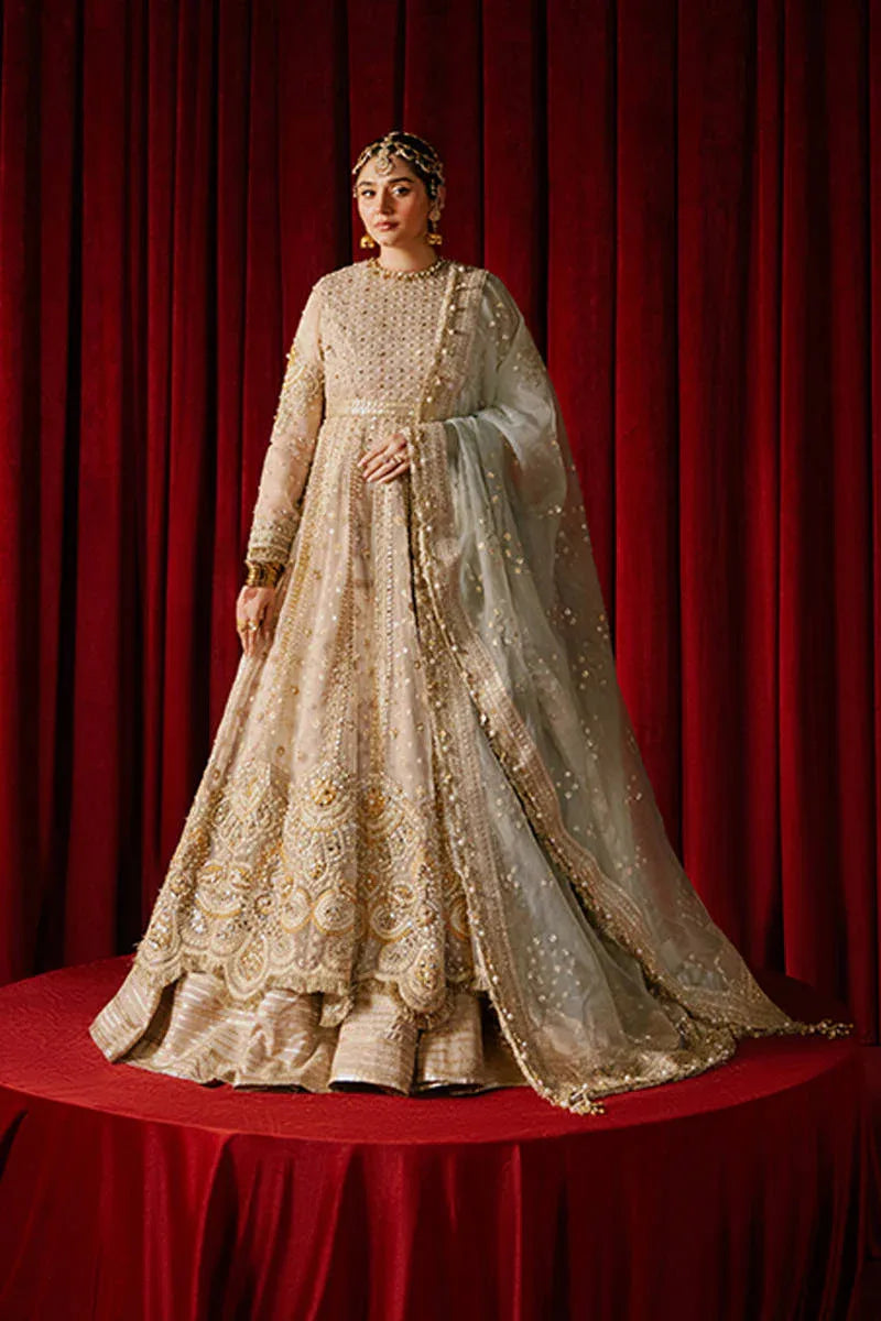 MNR | Zarlish Festive Formals | Shabnami - Rang-e-Khaas
