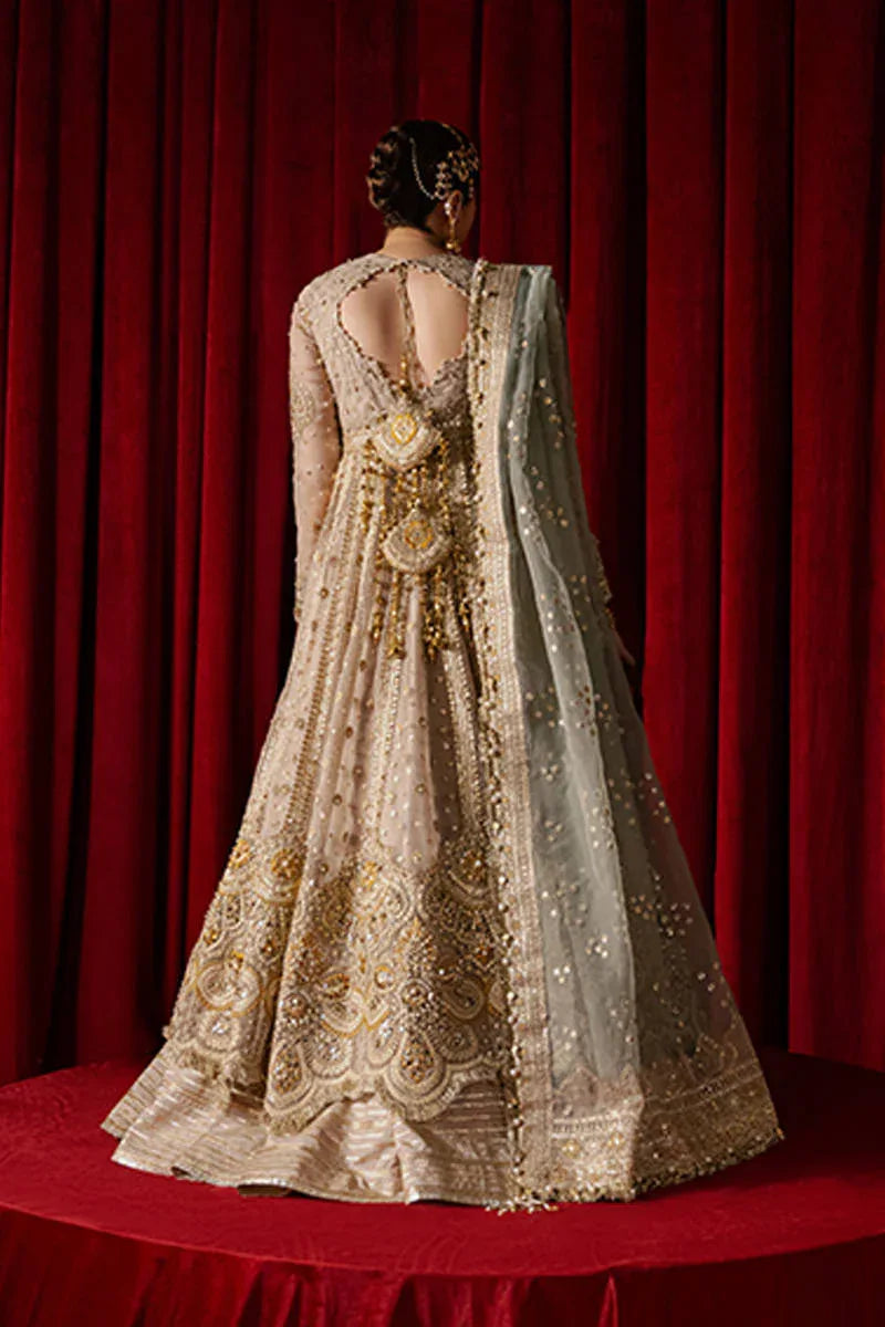 MNR | Zarlish Festive Formals | Shabnami - Rang-e-Khaas