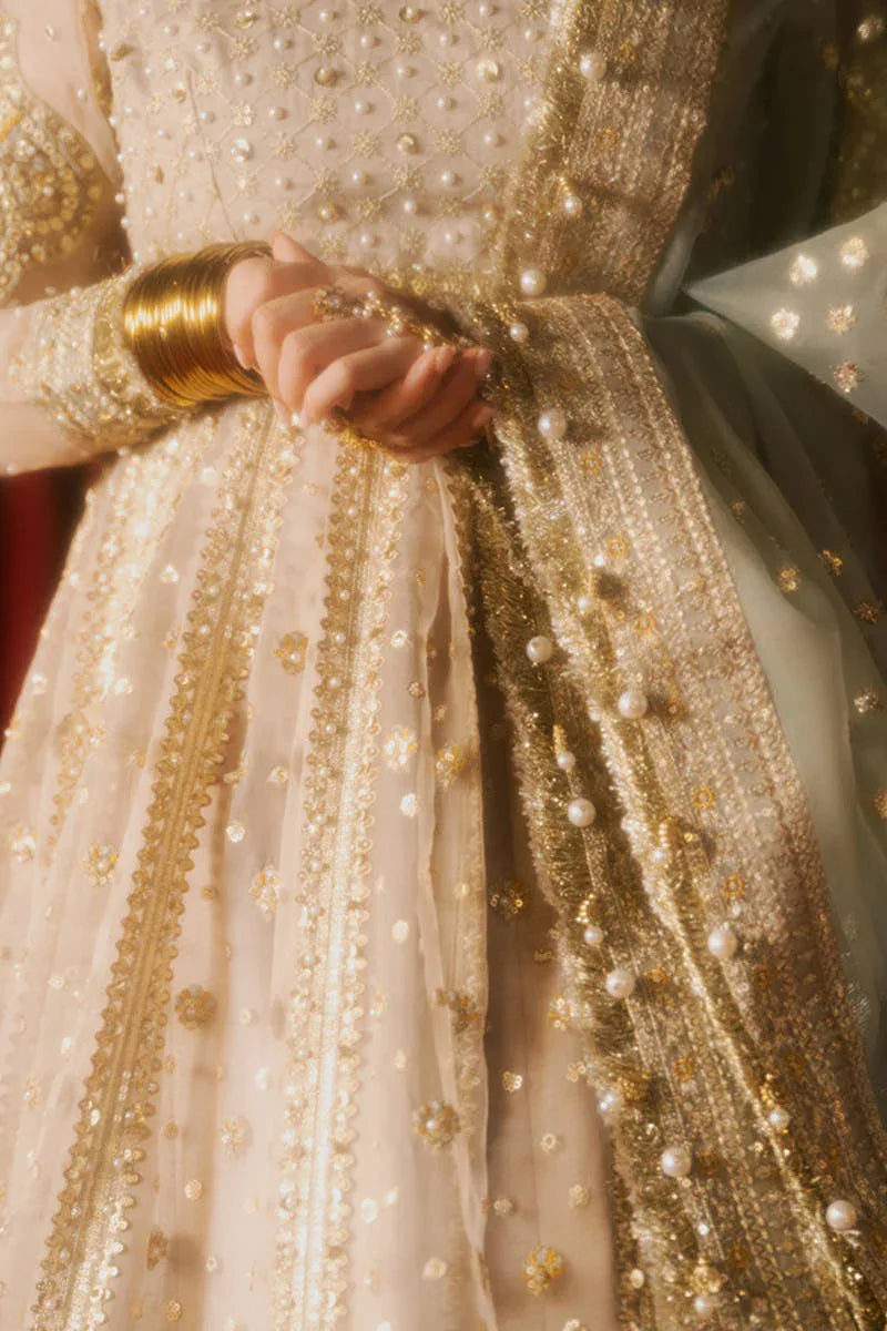 MNR | Zarlish Festive Formals | Shabnami - Rang-e-Khaas