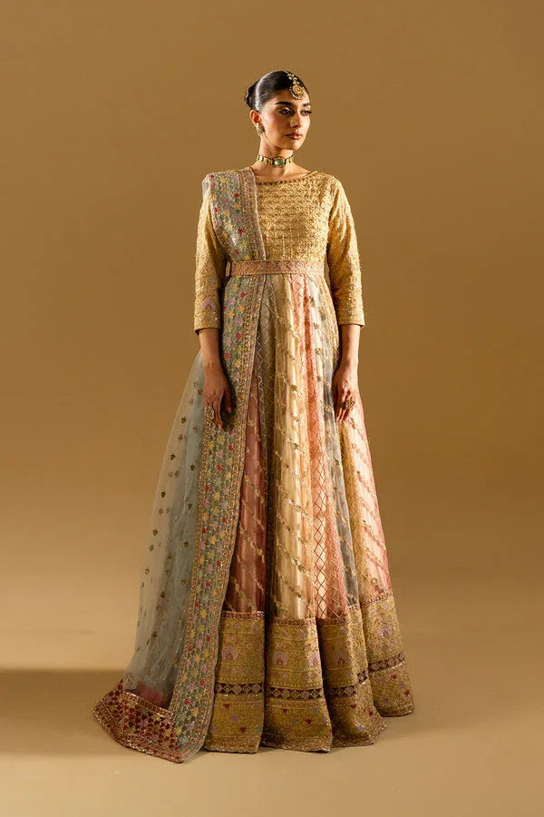 Maryum N Maria | Mysha Wedding Formals | KARIN - MS50187 - Rang-e-Khaas
