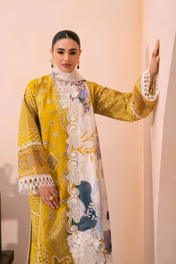 Marjjan | Amani Luxe | MSV-02 B - Rang-e-Khaas