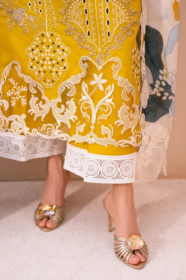 Marjjan | Amani Luxe | MSV-02 B - Rang-e-Khaas