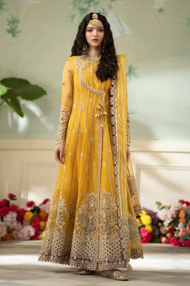 Qalamkar | Dilnaz Wedding Formals | DN-04 KANZA - Rang-e-Khaas