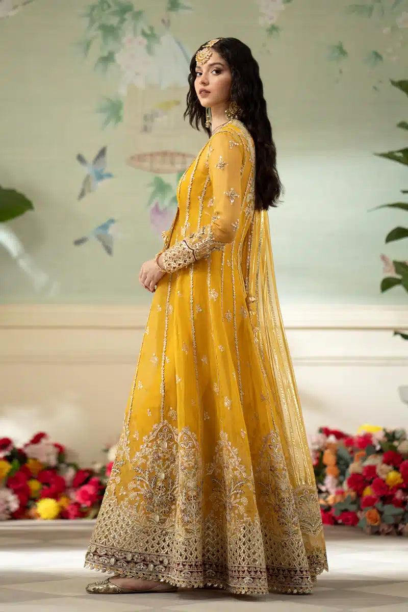 Qalamkar | Dilnaz Wedding Formals | DN-04 KANZA - Rang-e-Khaas