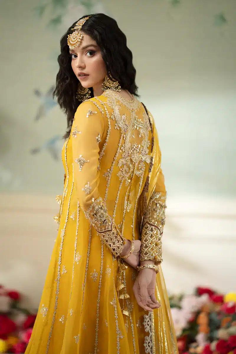 Qalamkar | Dilnaz Wedding Formals | DN-04 KANZA - Rang-e-Khaas