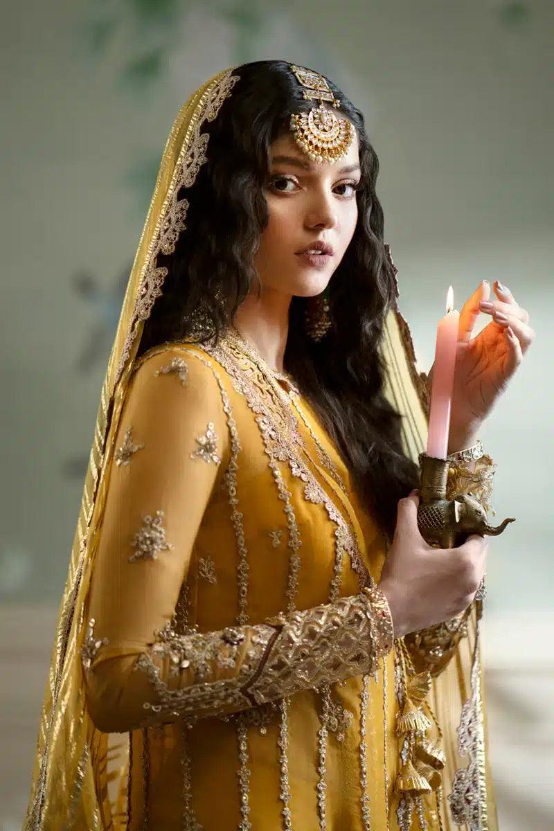 Qalamkar | Dilnaz Wedding Formals | DN-04 KANZA - Rang-e-Khaas