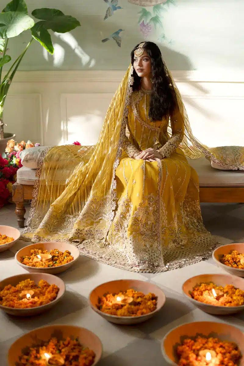 Qalamkar | Dilnaz Wedding Formals | DN-04 KANZA - Rang-e-Khaas