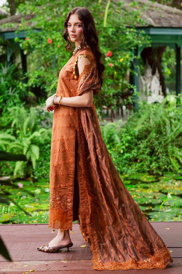 Marjjan | Bella Karandi 25 | MWK-37 A (RUST) - Rang-e-Khaas