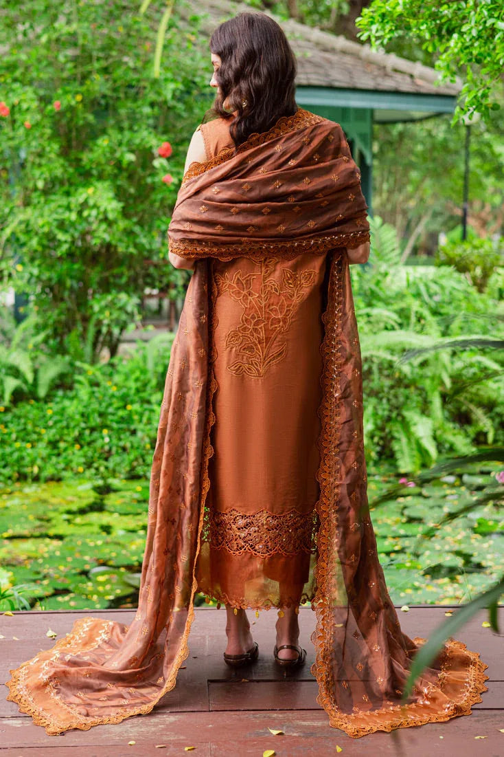 Marjjan | Bella Karandi 25 | MWK-37 A (RUST) - Rang-e-Khaas