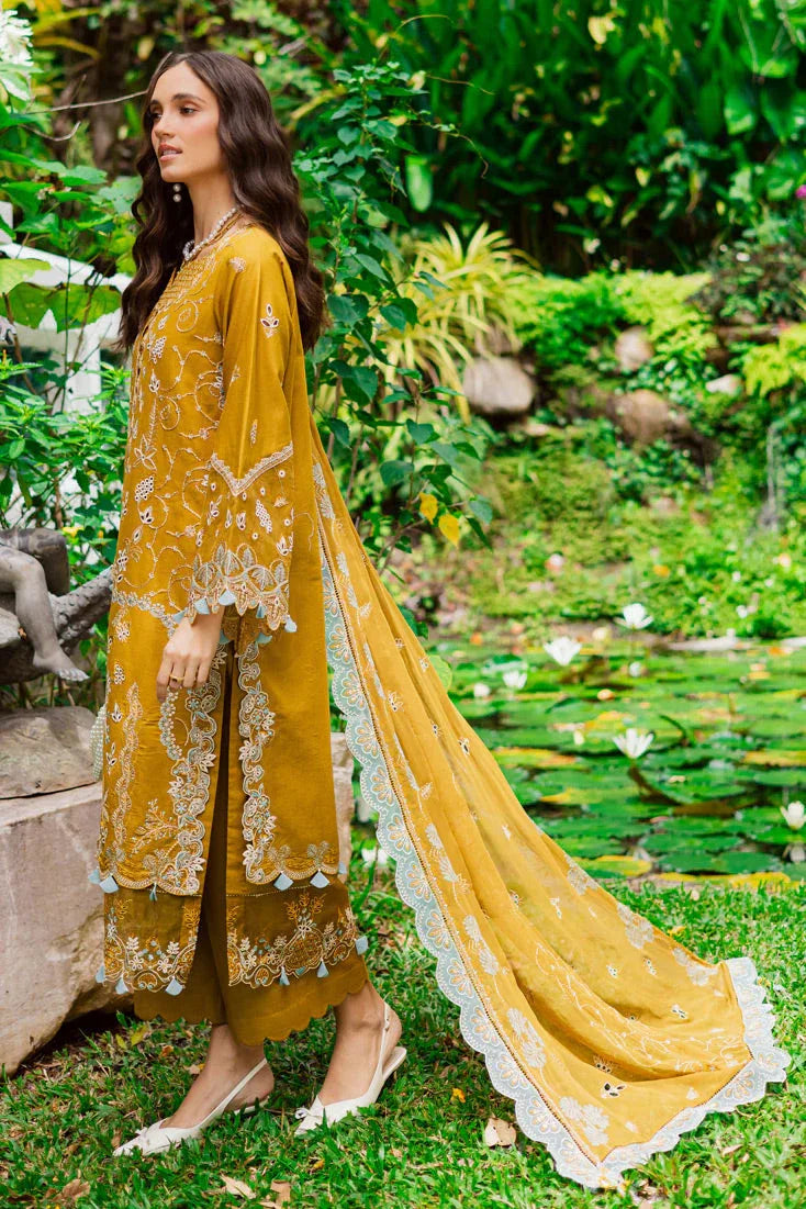 Marjjan | Bella Karandi 25 |MWK-38 A (MUSTARD) - Rang-e-Khaas
