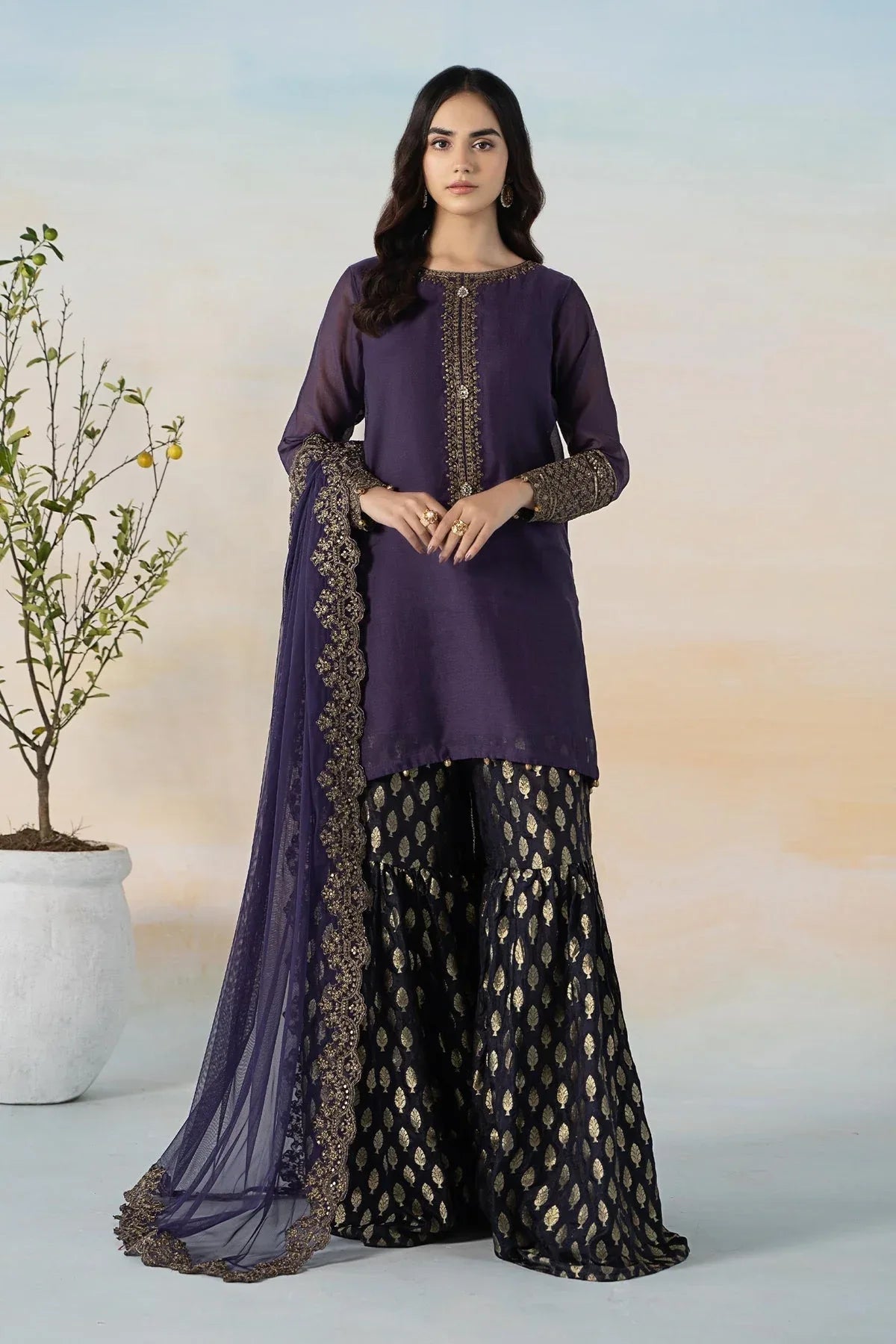 Maria B | Casual Pret 2024 | DW-EF24-104 - Rang-e-Khaas