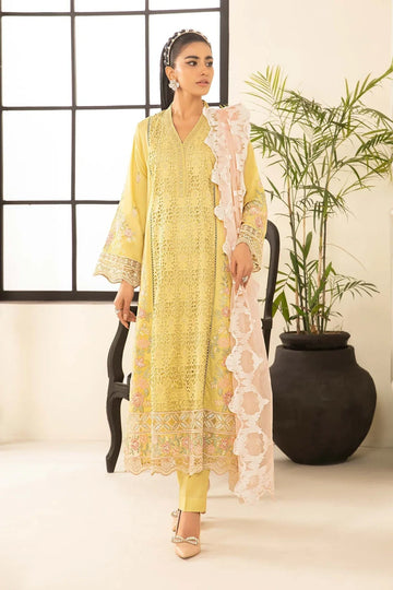 Maria B | Casual Pret 2024 | DW-EF24-33A - Rang-e-Khaas
