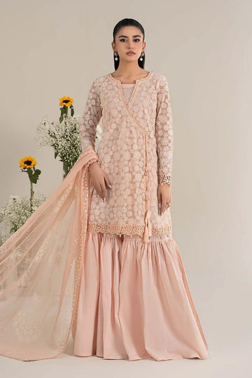 Maria B | Casual Pret 25 | DW-EF25-100 - Rang-e-Khaas