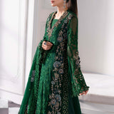 Maria B | Embroidered 2025 | BD-3008 - Rang-e-Khaas