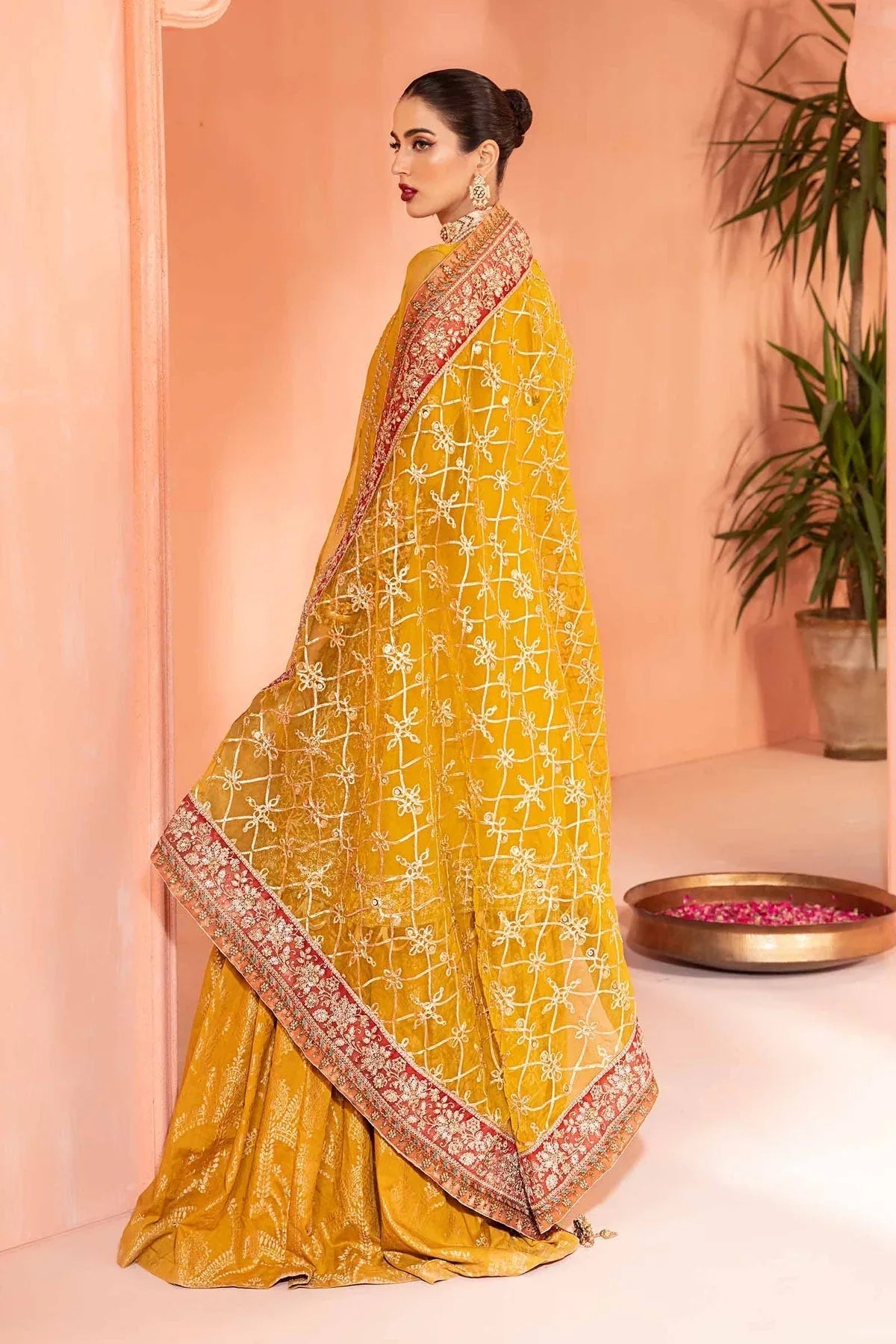 Maria B | Formal Wears | Organza Suit SF-EA24-28 - Rang-e-Khaas