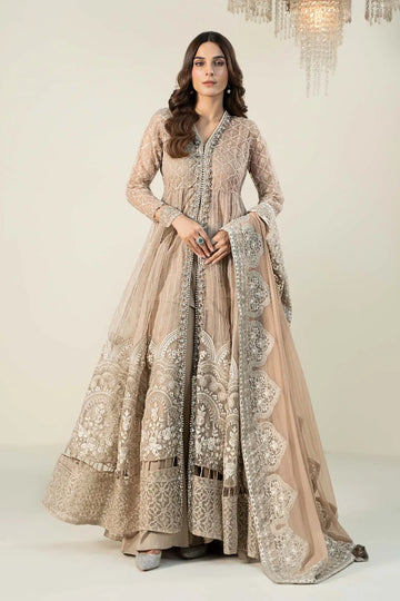 Maria B | Formal Wears | Organza Suit | SF-W24-70 - Rang-e-Khaas