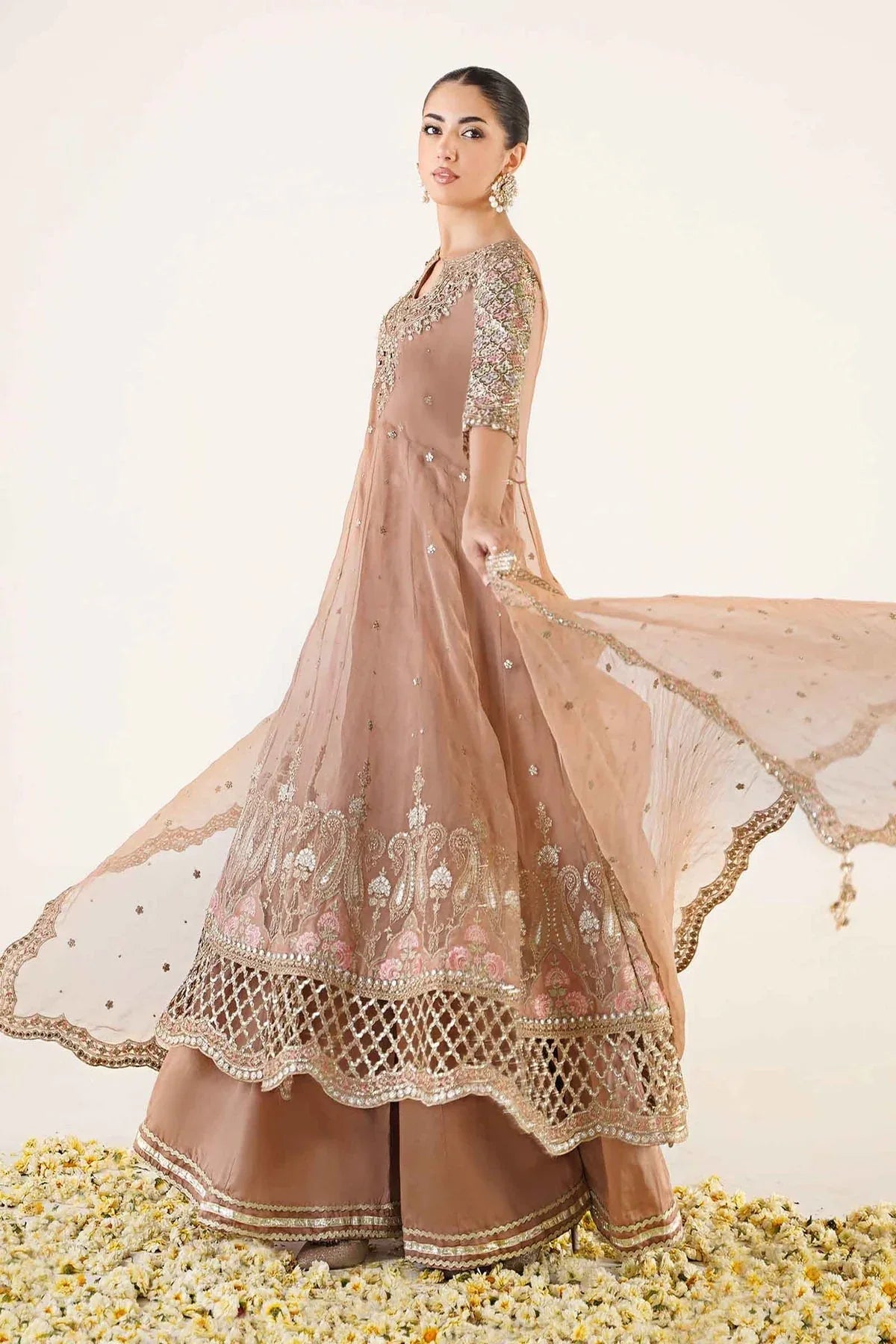 Maria B | Formal Wears | SF-EA24-31 - Rang-e-Khaas