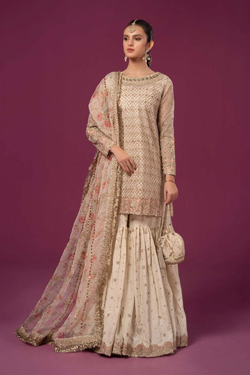 Maria B | Formal Wears | SF-EF24-01 - Rang-e-Khaas