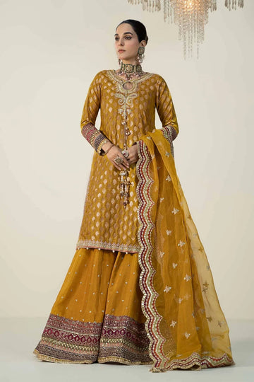 Maria B | Formal Wears | SF-W24-08 - Rang-e-Khaas