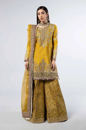 Maria B | Formal Wears | SF-W24-32 - Rang-e-Khaas