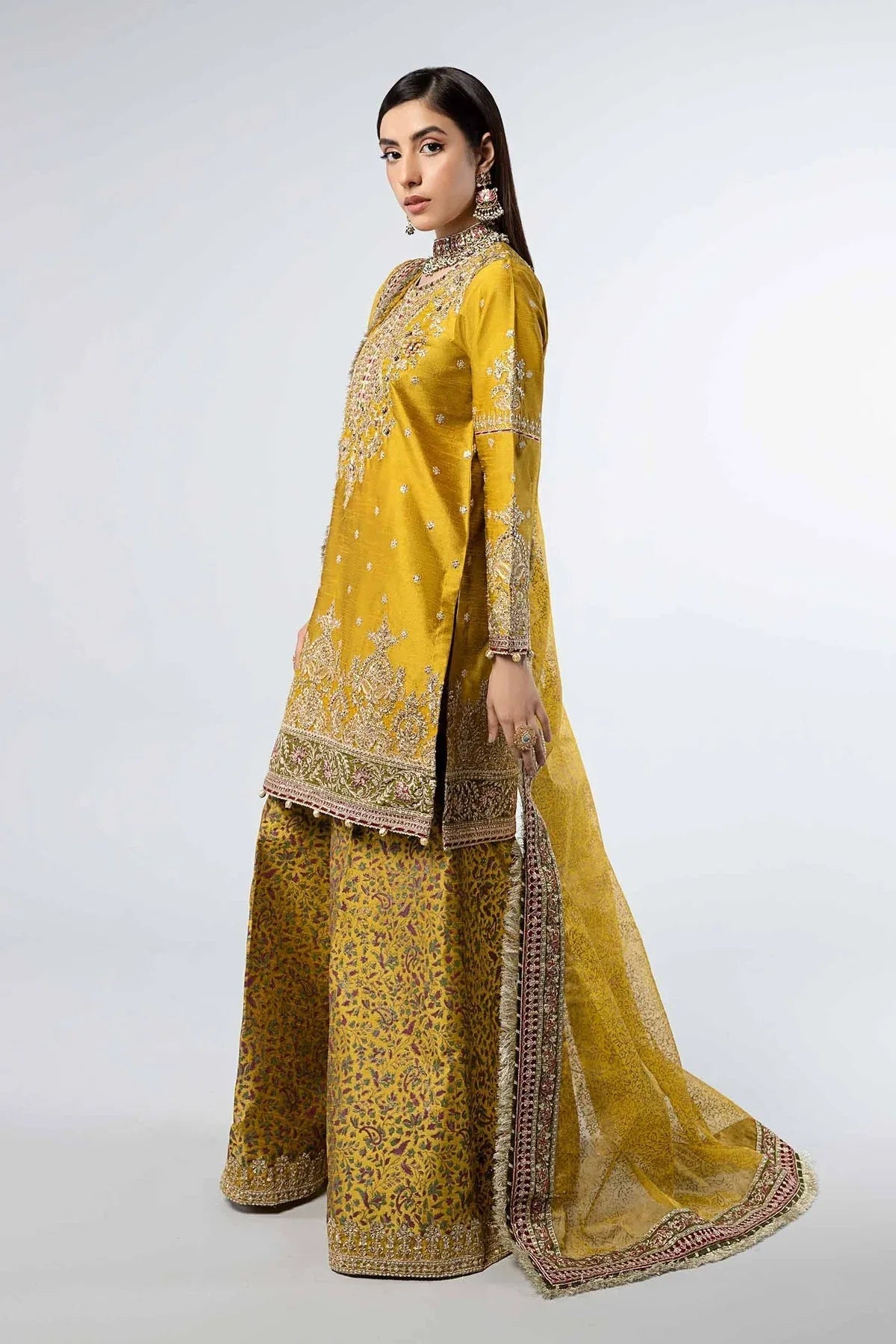 Maria B | Formal Wears | SF-W24-32 - Rang-e-Khaas