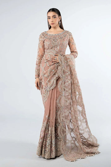 Maria B | Formal Wears | SF-W24-61 - Rang-e-Khaas