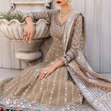 Maria B | Sateen Formals 24 | CST-810 - Rang-e-Khaas