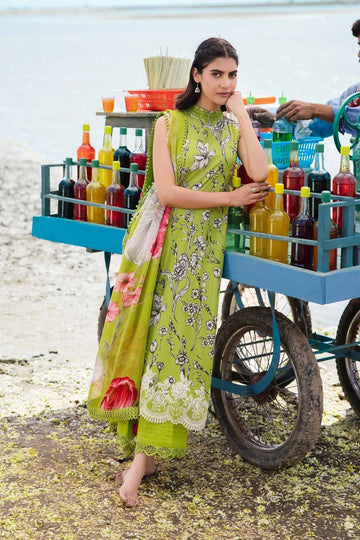 Maria b | M Basics Lawn | 405-B - Rang-e-Khaas