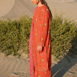 Maria B | Winter Basics 2024 |  505-B