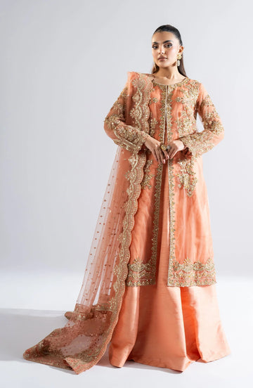 Maryum N Maria | Riwayat Wedding Formals | AMANTHI - MW24-552 - Rang-e-Khaas