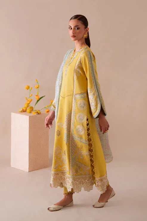 Aabyaan | Miraal Signature Embroidered Viscose 25 | MEHRA (AV-02) - Rang-e-Khaas