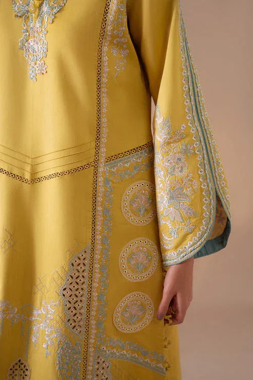 Aabyaan | Miraal Signature Embroidered Viscose 25 | MEHRA (AV-02) - Rang-e-Khaas