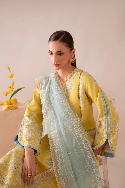 Aabyaan | Miraal Signature Embroidered Viscose 25 | MEHRA (AV-02) - Rang-e-Khaas