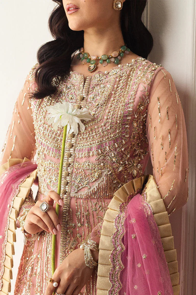 Mushq | Hemline Aura Debut Wedding Formals | AMARANTH - Rang-e-Khaas