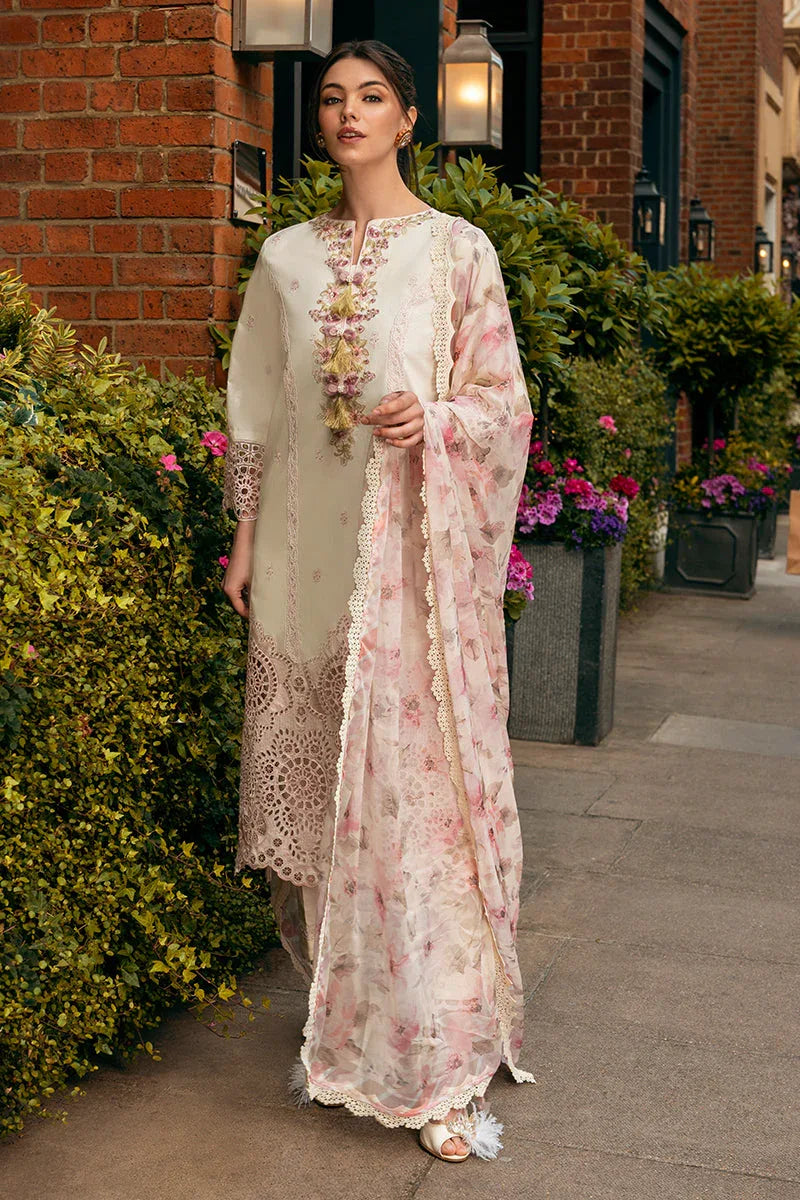 Mushq | Hemline Odyssey | MOCHA MUSE - Rang-e-Khaas