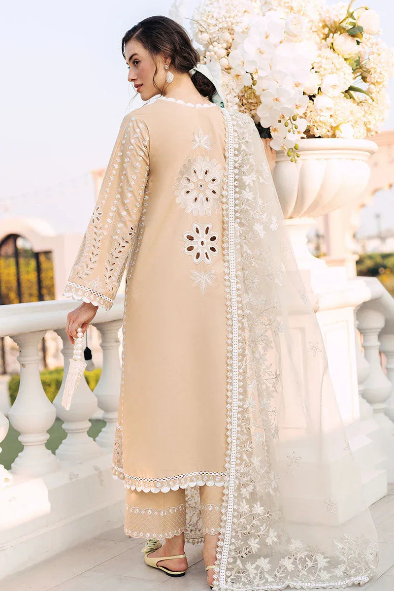 Mushq | La Toscana Casual Pret 24 |DIVINE DESERT - Rang-e-Khaas
